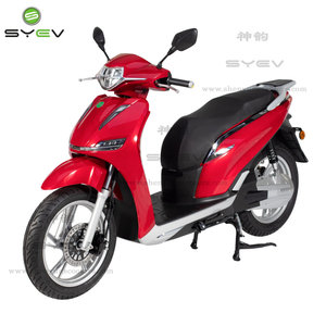 Hochleistungs-Zwei-Fat-Wheel-Elektromobilitäts-Motorrad 1500/3000W 72V45AH 